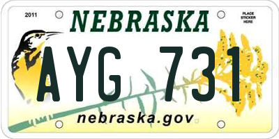 NE license plate AYG731