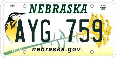 NE license plate AYG759