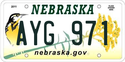 NE license plate AYG971
