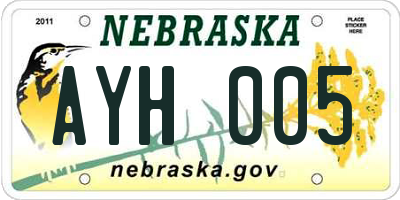 NE license plate AYH005