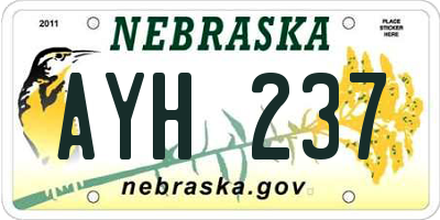 NE license plate AYH237