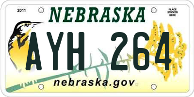 NE license plate AYH264