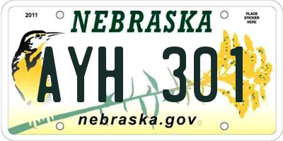 NE license plate AYH301