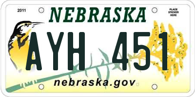 NE license plate AYH451