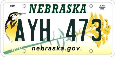 NE license plate AYH473