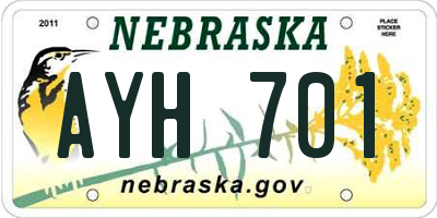 NE license plate AYH701