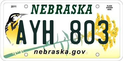 NE license plate AYH803