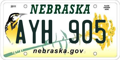 NE license plate AYH905