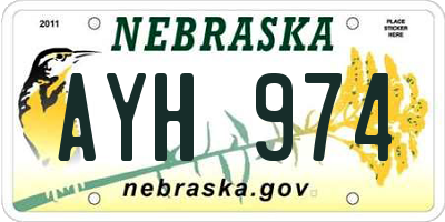 NE license plate AYH974