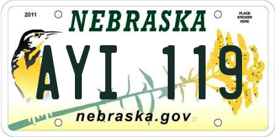 NE license plate AYI119