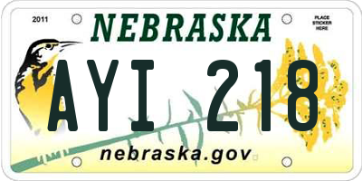 NE license plate AYI218