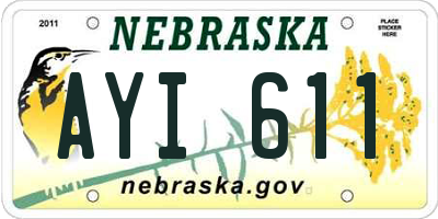 NE license plate AYI611