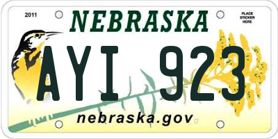 NE license plate AYI923