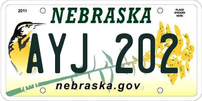 NE license plate AYJ202