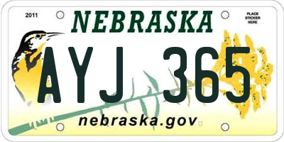NE license plate AYJ365