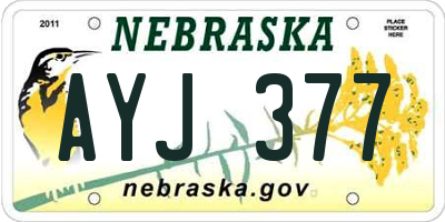 NE license plate AYJ377