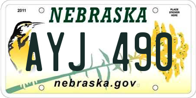 NE license plate AYJ490