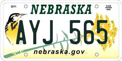 NE license plate AYJ565