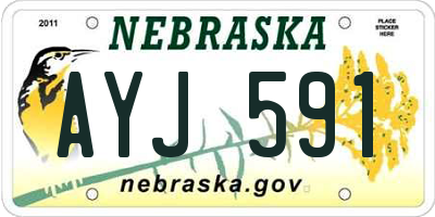 NE license plate AYJ591