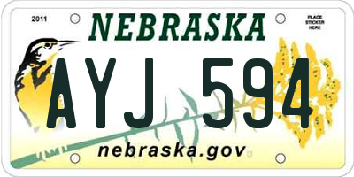 NE license plate AYJ594