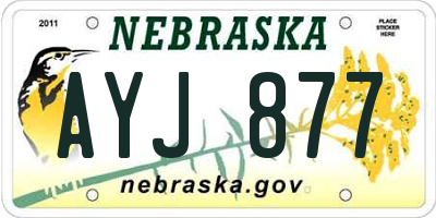 NE license plate AYJ877
