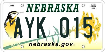 NE license plate AYK015