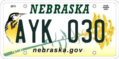 NE license plate AYK030