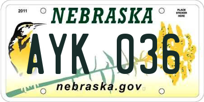 NE license plate AYK036
