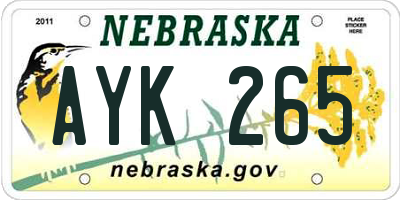 NE license plate AYK265