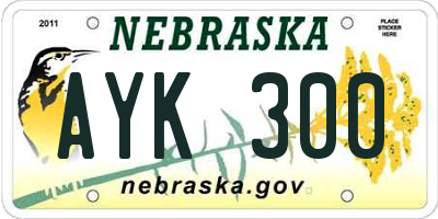 NE license plate AYK300