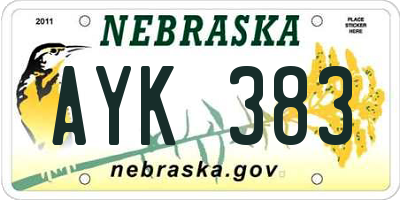 NE license plate AYK383