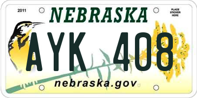 NE license plate AYK408