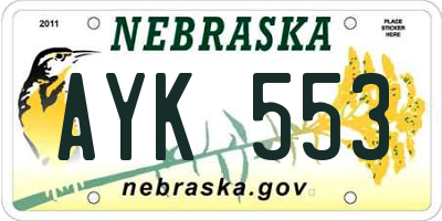 NE license plate AYK553