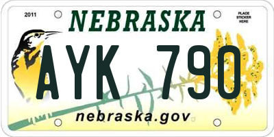 NE license plate AYK790