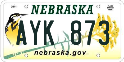 NE license plate AYK873