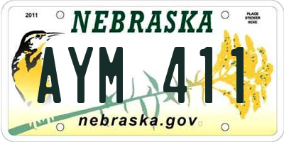 NE license plate AYM411