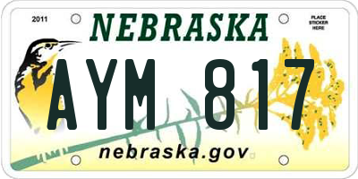 NE license plate AYM817
