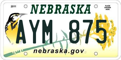 NE license plate AYM875