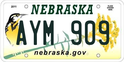 NE license plate AYM909
