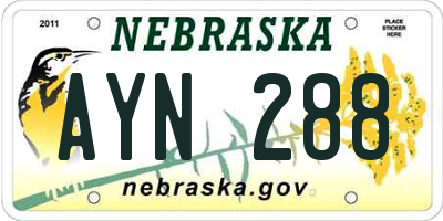 NE license plate AYN288