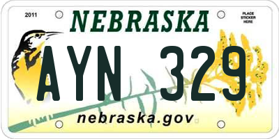 NE license plate AYN329