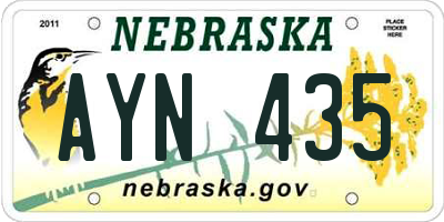NE license plate AYN435