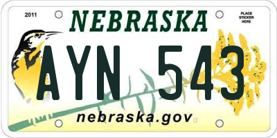 NE license plate AYN543