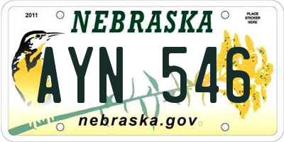NE license plate AYN546