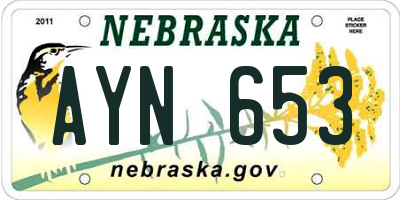 NE license plate AYN653