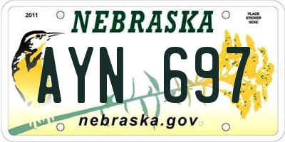 NE license plate AYN697