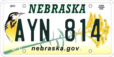 NE license plate AYN814