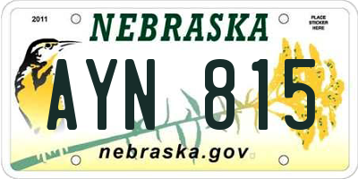 NE license plate AYN815