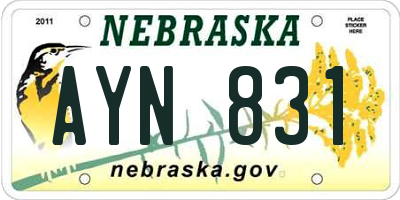 NE license plate AYN831