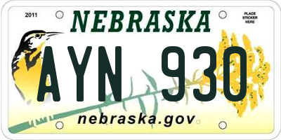 NE license plate AYN930